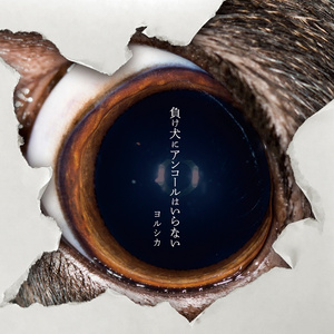 爽看1069男男视频
